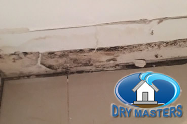 Mold removal in Fort Lauderdale